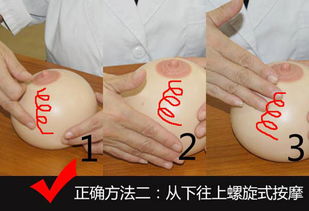 24歲財會男跨界轉型 催乳師之路，單次收費300至千元的高級職業探索